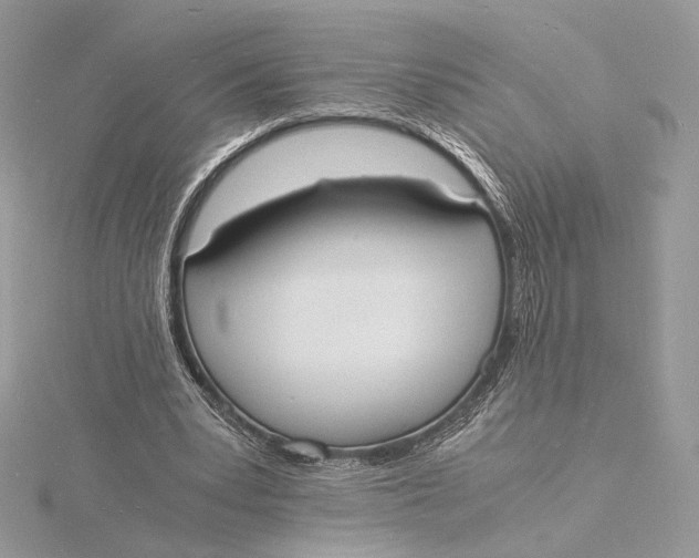 X0000115840391200912041712