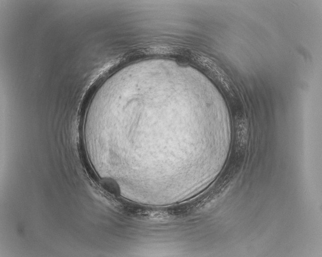 X0000115840395200912041712