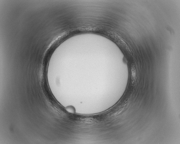 X0000115840396200912041712