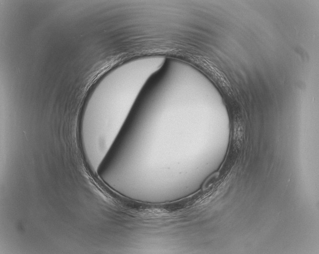 X0000115840397200912041712