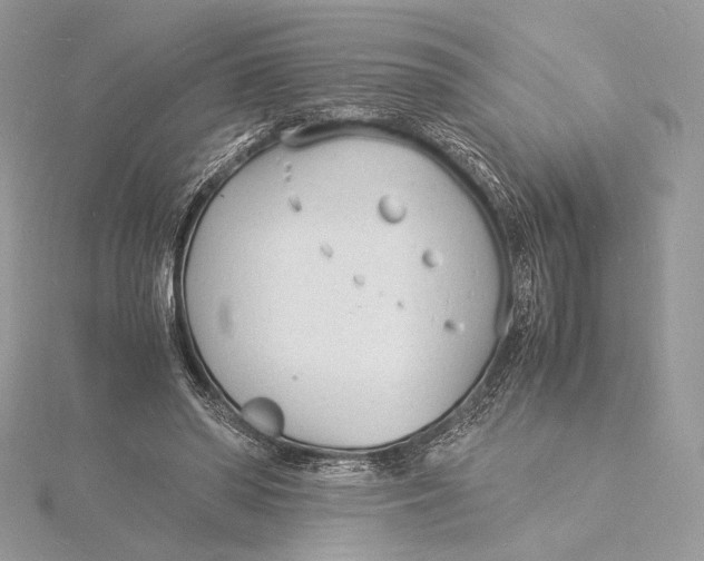 X0000115840398200912041712