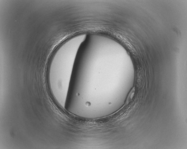 X0000115840399200912041712