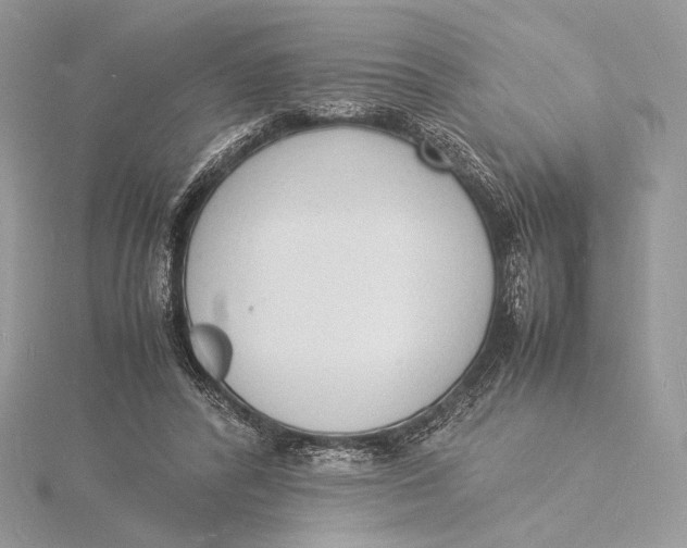 X0000115840400200912041712