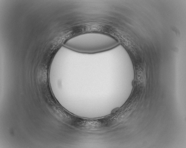 X0000115840401200912041712