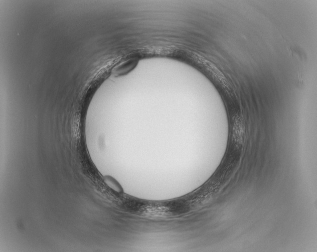 X0000115840403200912041712