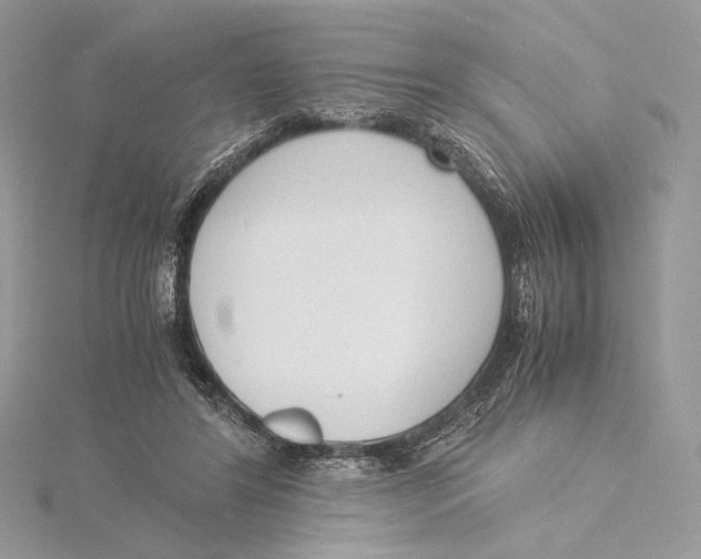 X0000115840404200912041712