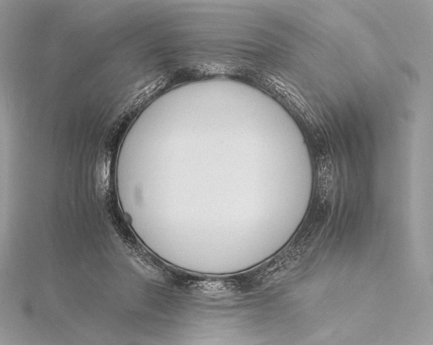 X0000115840406200912041712