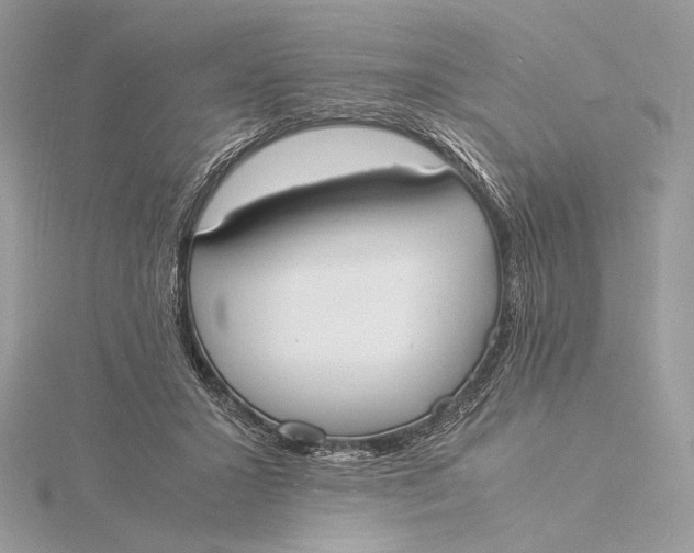 X0000115840407200912041712