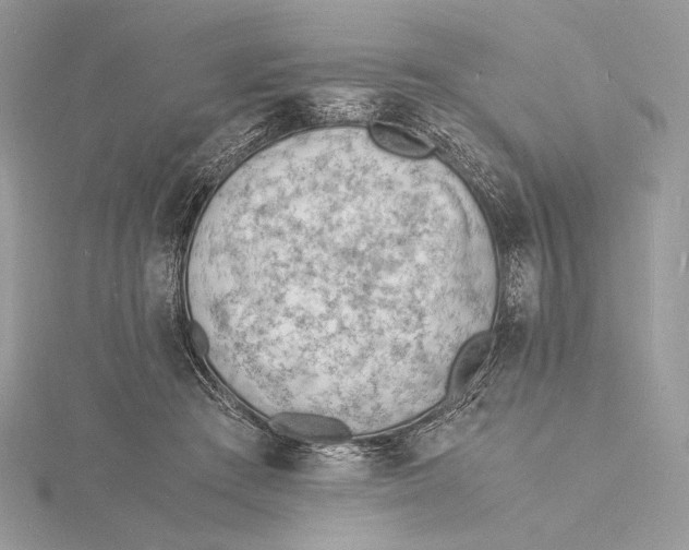 X0000115840409200912041712