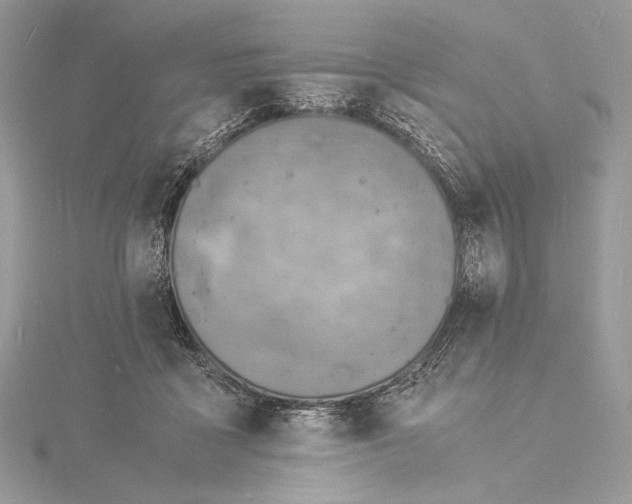 X0000115840411200912041712