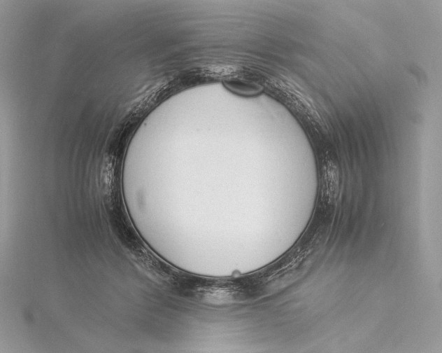 X0000115840412200912041712