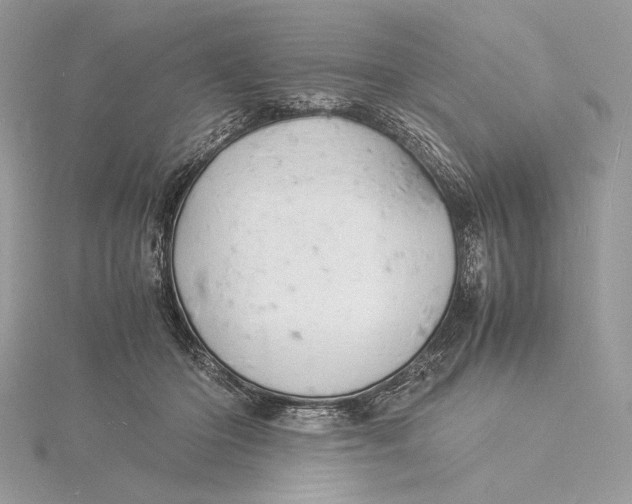 X0000115840414200912041712