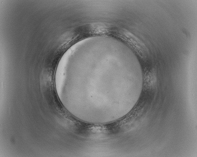 X0000115840415200912041712