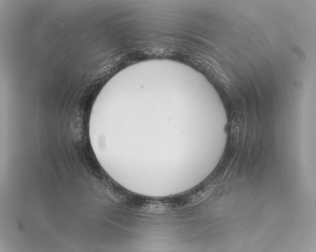 X0000115840416200912041712