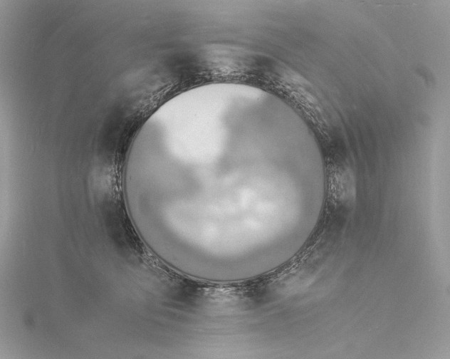 X0000115840419200912041712