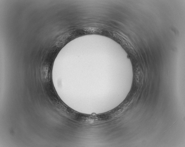 X0000115840420200912041712