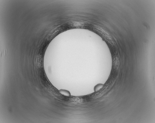 X0000115840421200912041712