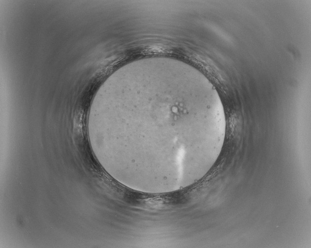 X0000115840423200912041712