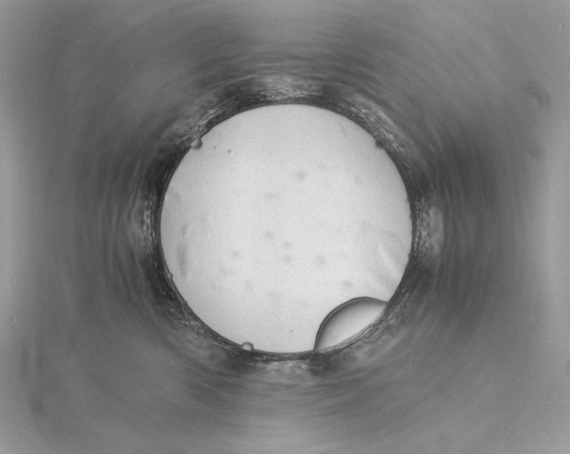 X0000115840426200912041712