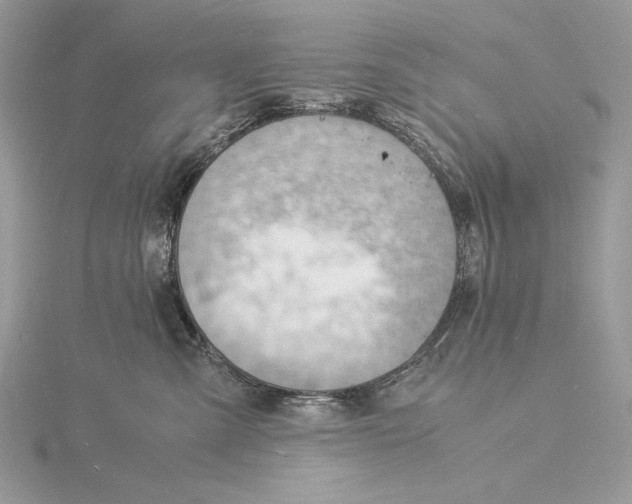 X0000115840427200912041712