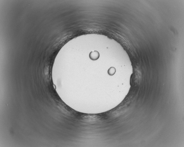 X0000115840428200912041712