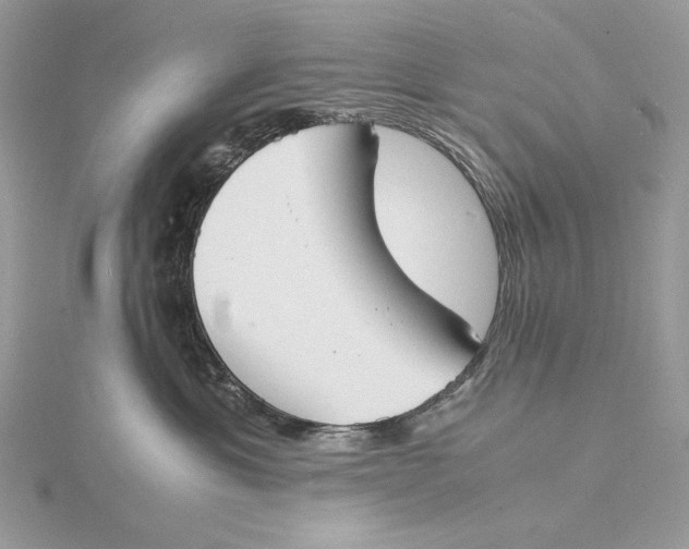 X0000115840429200912041712