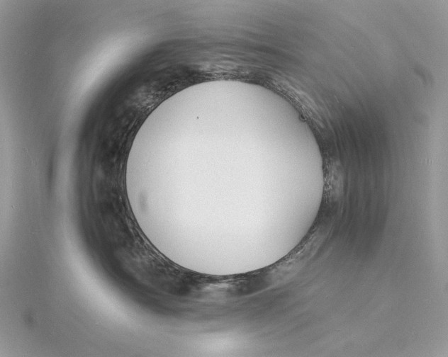 X0000115840430200912041712