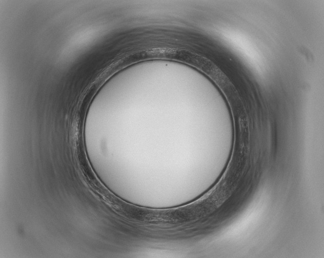 X0000115840435200912041711