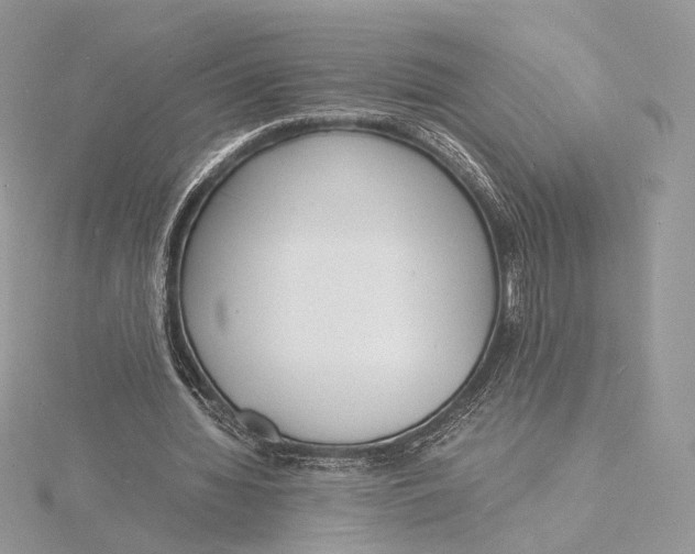 X0000115840436200912041711