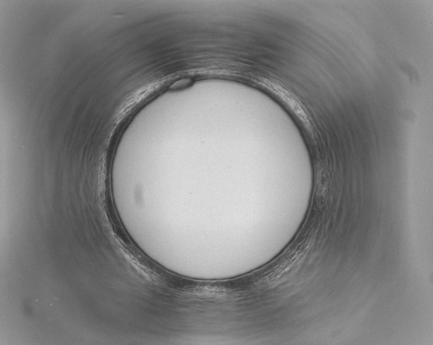 X0000115840437200912041711