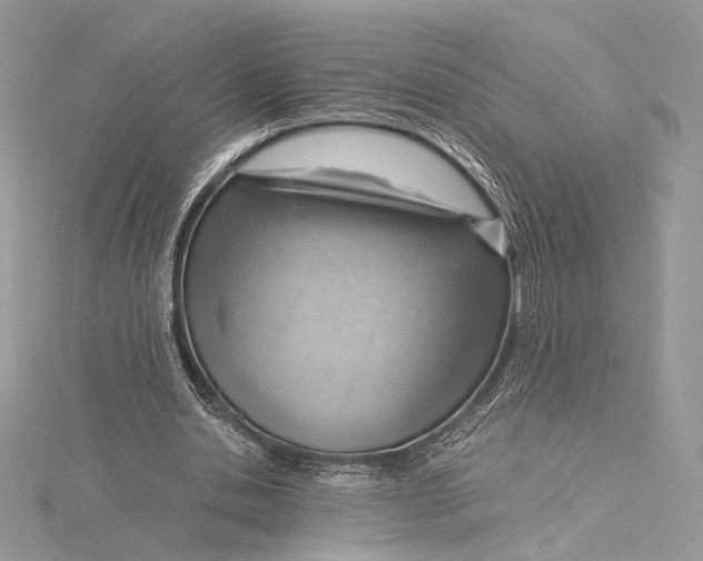 X0000115840438200912041711