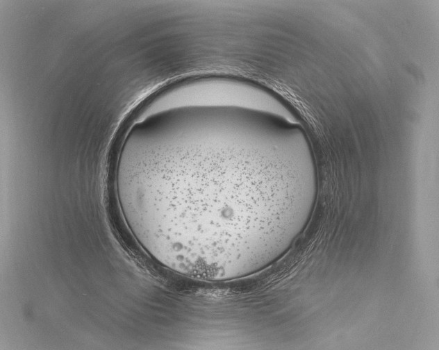 X0000115840440200912041711