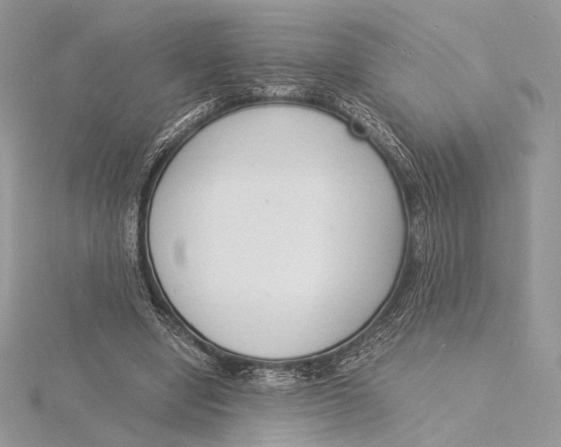 X0000115840442200912041711