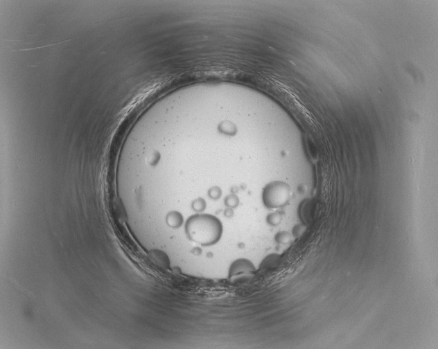 X0000115840443200912041711