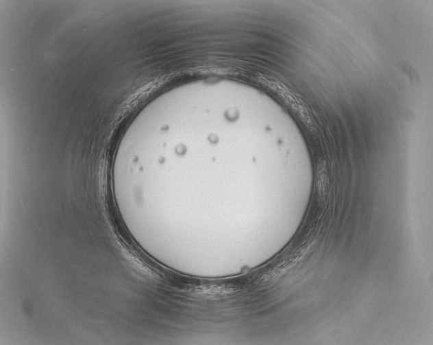 X0000115840445200912041711