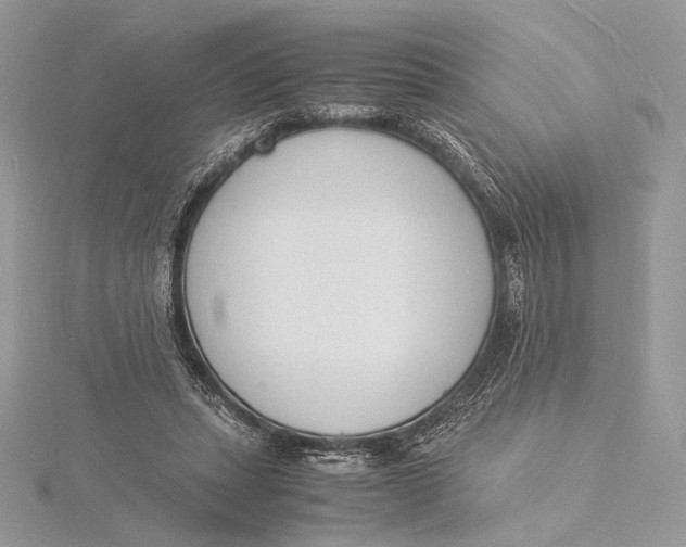 X0000115840447200912041711