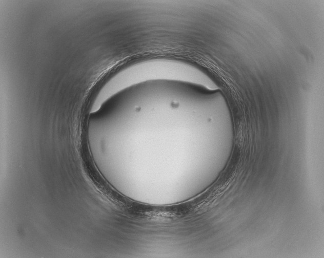 X0000115840448200912041711