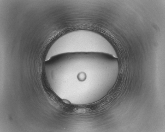 X0000115840452200912041711