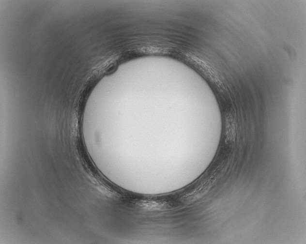 X0000115840453200912041711