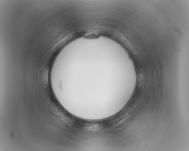 X0000115840454200912041712