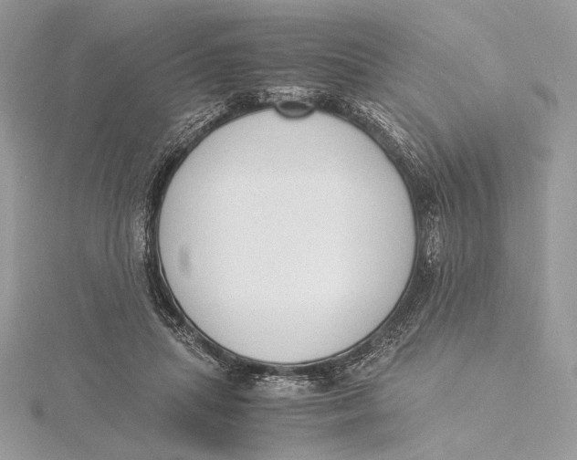 X0000115840455200912041712