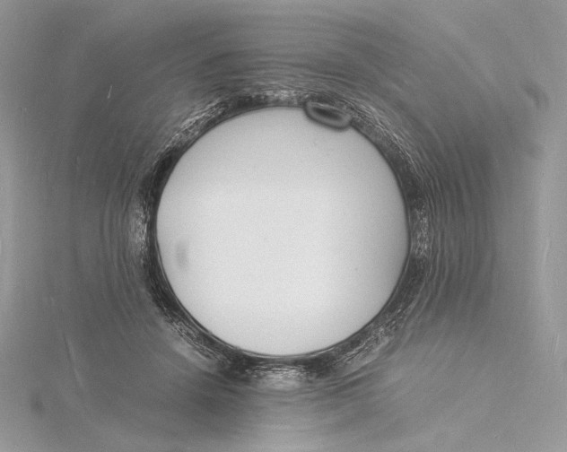 X0000115840456200912041712