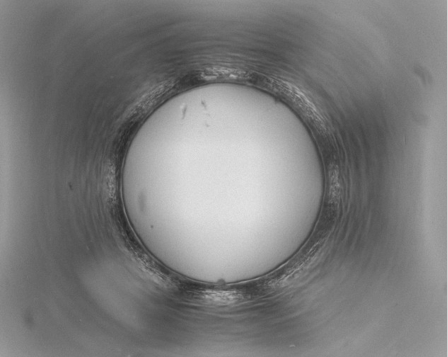 X0000115840457200912041712