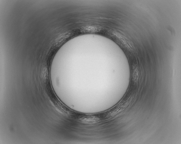 X0000115840459200912041712