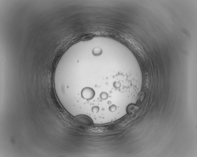 X0000115840461200912041712