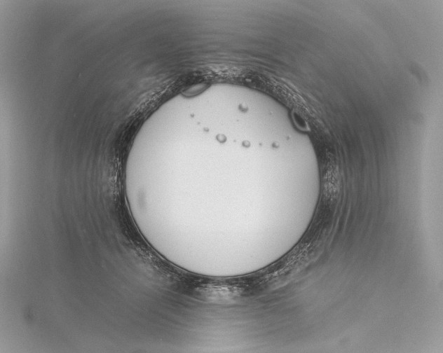 X0000115840464200912041712