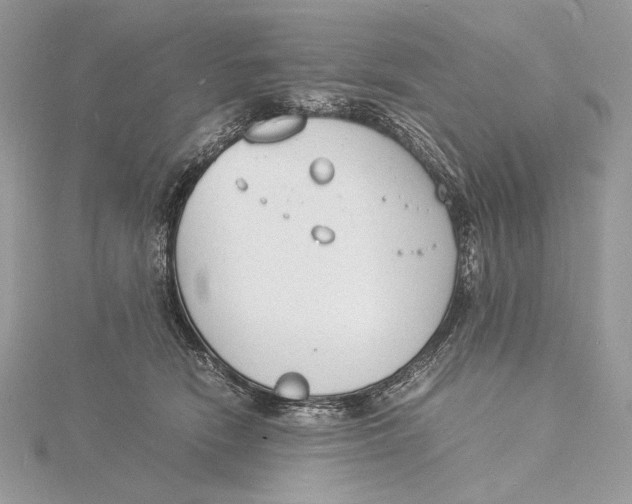 X0000115840466200912041712