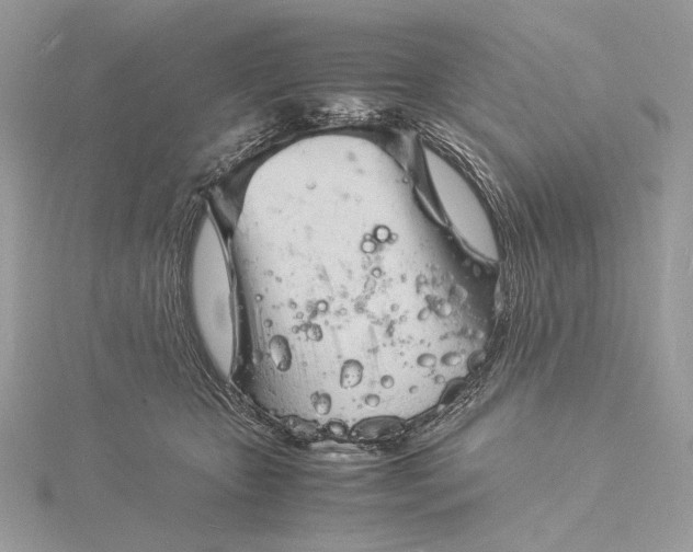 X0000115840467200912041712