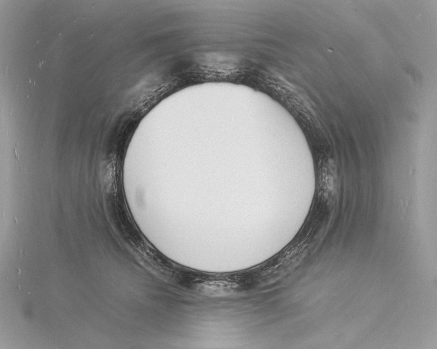 X0000115840468200912041712