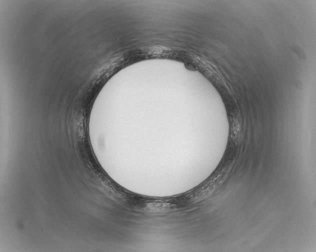 X0000115840470200912041712